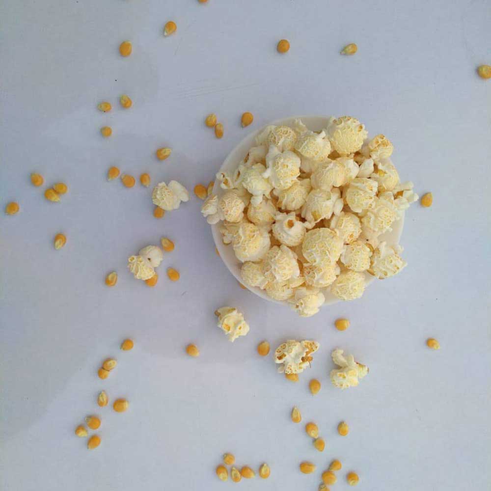 The Crunch Box Golden Popping Corn MUSHROOM CORN (Gourmet Popcorn Kernels)-Boozlo